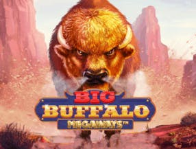 game logo by Skywind Group on trickzcasino.eu.com